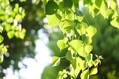 介護の仕事をするには